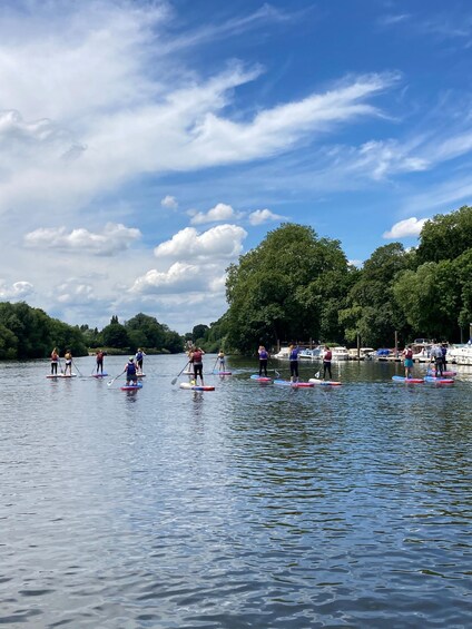 Picture 1 for Activity Richmond: Self-Guided SUP Adventure on the Thames 1
