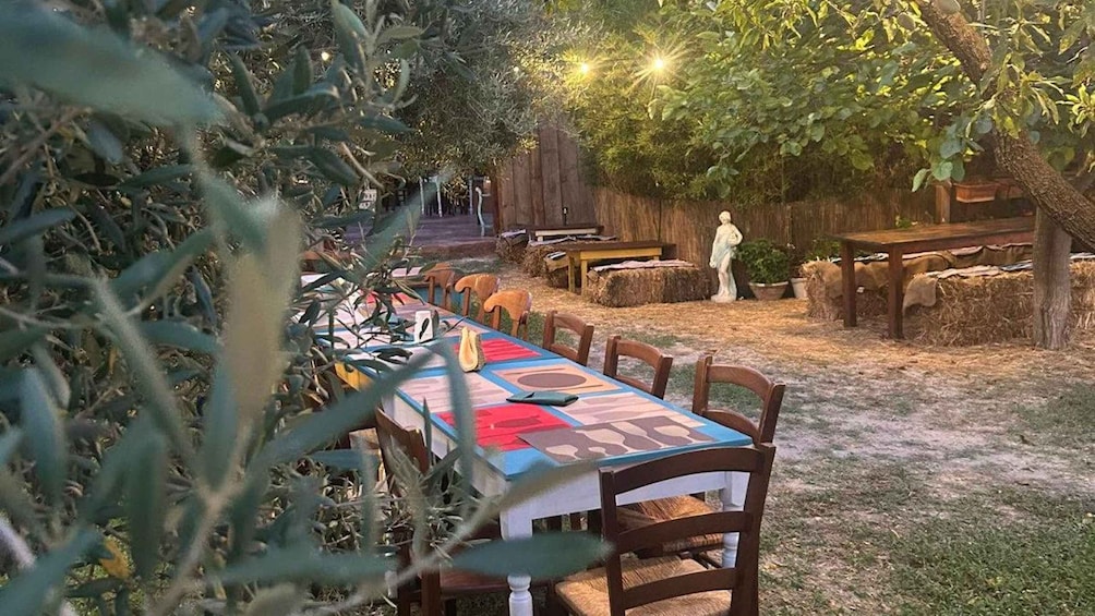 An outdoor dining area with a table set for two, surrounded by chairs, under a tree. 1