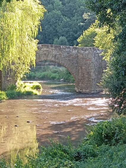 Picture 3 for Activity Rodez: Meditation in Layoule on the banks of the Aveyron 1
