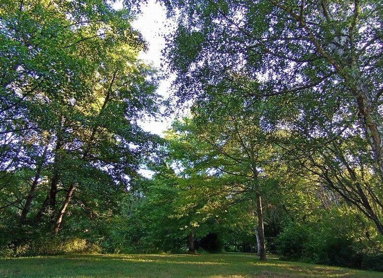 Picture 2 for Activity Rodez: Meditation in Layoule on the banks of the Aveyron 3