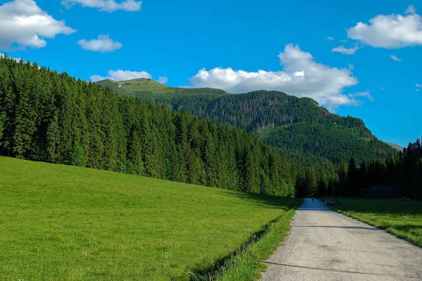 Zakopane: Kościeliska Valley & Cheese Tasting 1