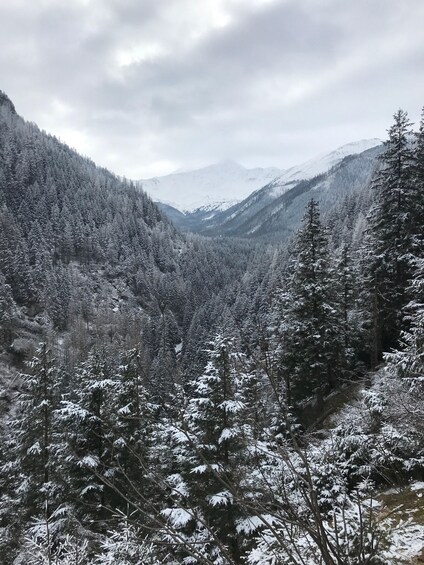 Picture 8 for Activity Zakopane: Kościeliska Valley & Cheese Tasting 3