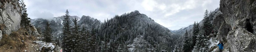 Picture 6 for Activity Zakopane: Kościeliska Valley & Cheese Tasting 5