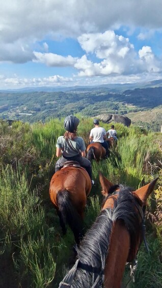 Serra da Cabreira: Horseback Riding on Trails 2