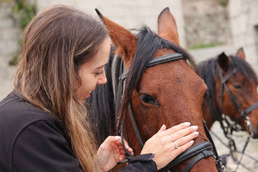 Picture 2 for Activity Serra da Cabreira: Horseback Riding on Trails 3