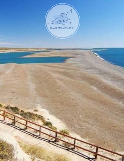 Picture 5 for Activity Peninsula Valdés Small Group Shore Sightseeing Tour for Cruise Passengers 4