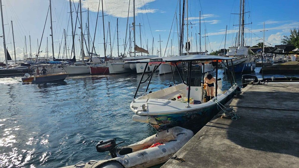 Picture 12 for Activity Tahiti: ANMP Level 1 Diving Certification in 2 Days, including Tahitian Meal. 2
