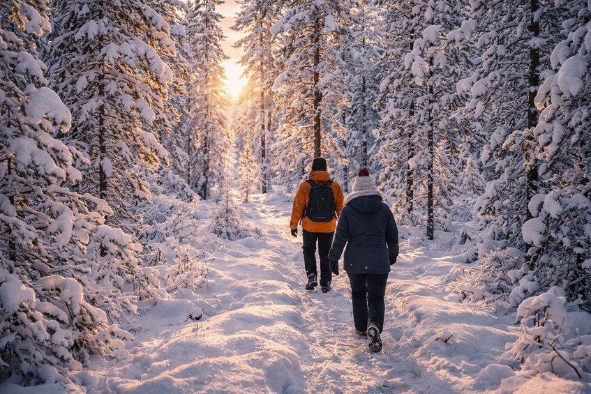 Two people walking on a snow-covered path through a forest. 3