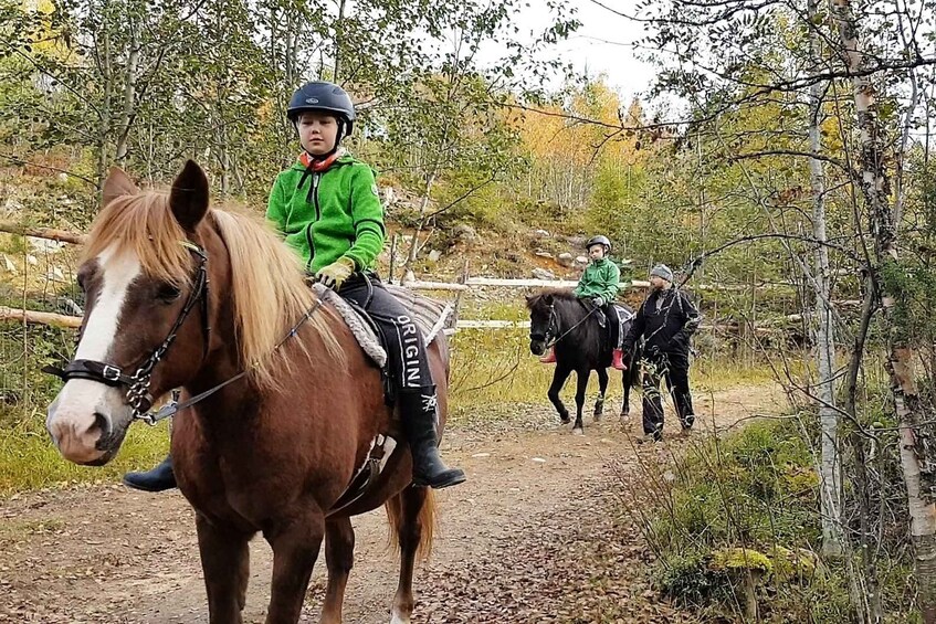 Picture 8 for Activity Ruka-Kuusamo: Family Horseback Riding Tour, 1h 4