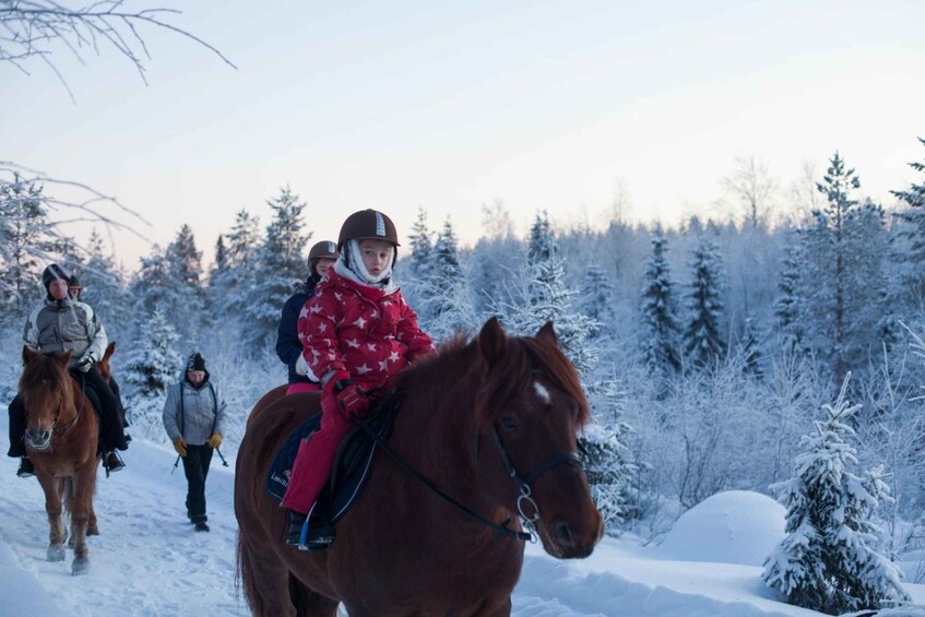 Picture 2 for Activity Ruka-Kuusamo: Family Horseback Riding Tour, 1h 5