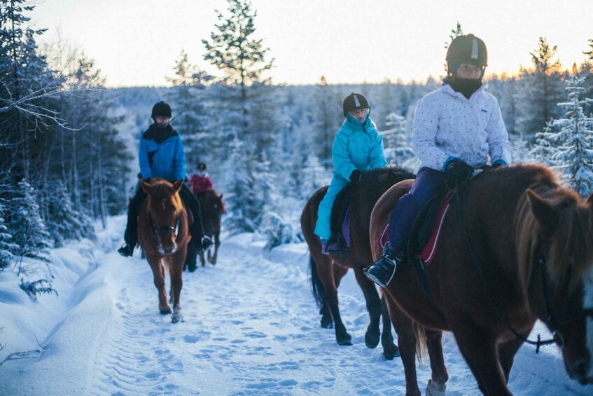 Picture 3 for Activity Ruka-Kuusamo: Family Horseback Riding Tour, 1h 2