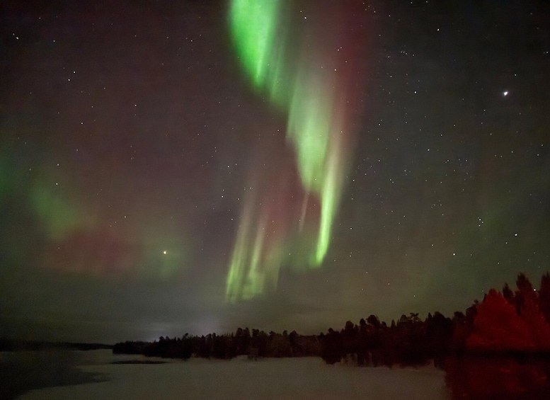 The Northern Lights over a snowy landscape with a forest in the foreground. 2