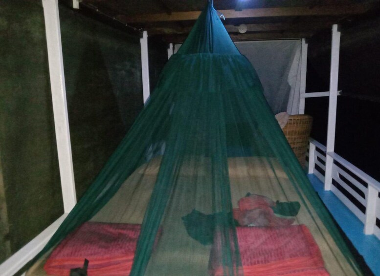 Picture 3 for Activity 2–3 Day Private Pangkalan Bun Borneo Orangutan River Cruise 4