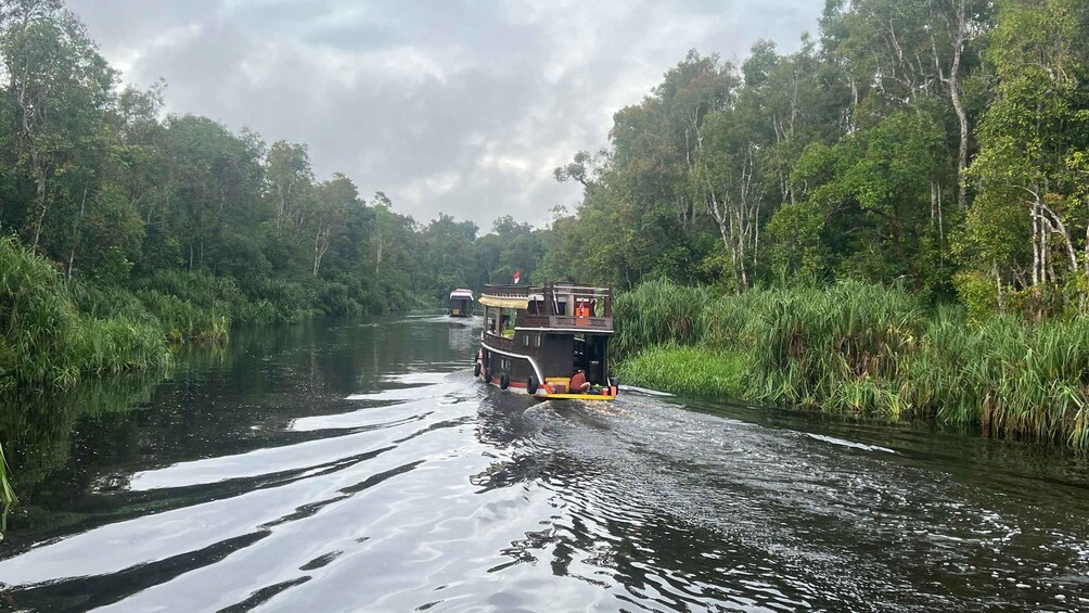 2–3 Day Private Pangkalan Bun Borneo Orangutan River Cruise 1