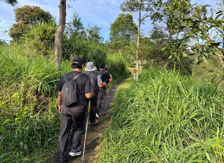 Picture 5 for Activity 2–3 Day Private Pangkalan Bun Borneo Orangutan River Cruise 2