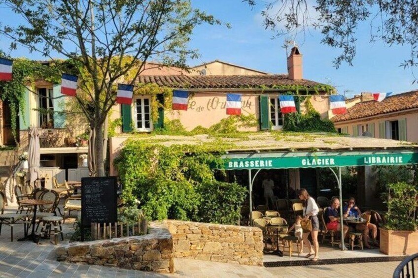 Saint Tropez and Port Grimaud Private Tour from Nice 2