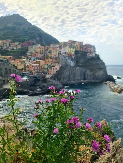 Picture 6 for Activity Wheelchair-Accessible, Private Cinque Terre Experience Tour, van and guide 3