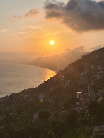 Wheelchair-Accessible, Private Cinque Terre Experience Tour, van and guide 1