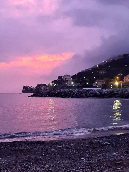 Picture 5 for Activity Wheelchair-Accessible, Private Cinque Terre Experience Tour, van and guide 2