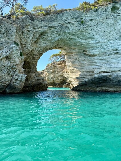 Picture 14 for Activity From Bari to Gargano: Coastal Boat Excursion with Stop in Vieste 5
