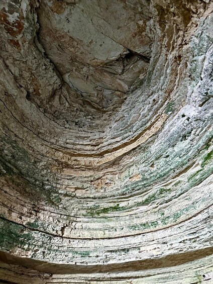 Picture 17 for Activity From Bari to Gargano: Coastal Boat Excursion with Stop in Vieste 4