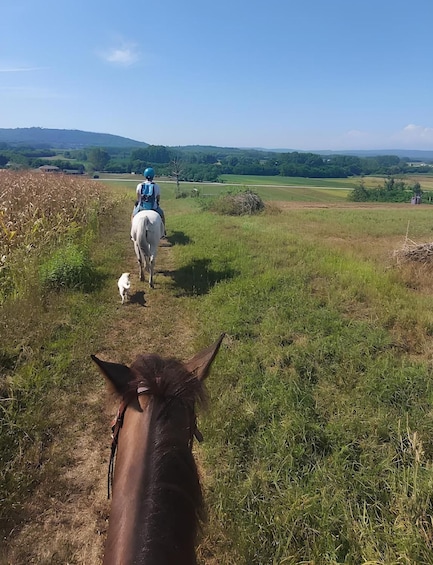 Turin: Horseback Ride in the Hills of Albiano d’Ivrea 1