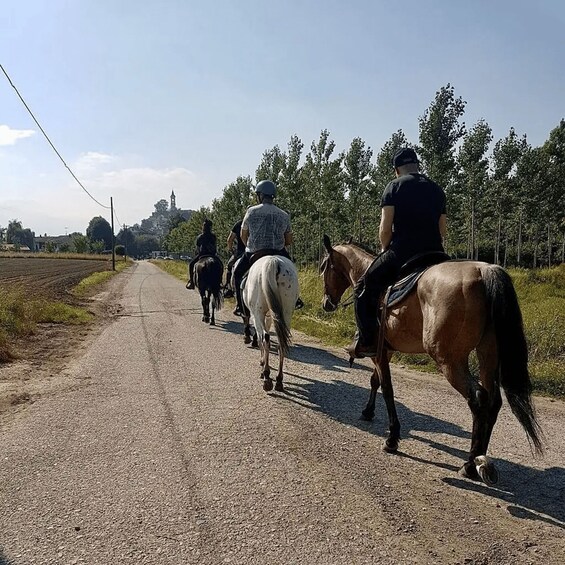 Picture 3 for Activity Turin: Horseback Ride in the Hills of Albiano d’Ivrea 4