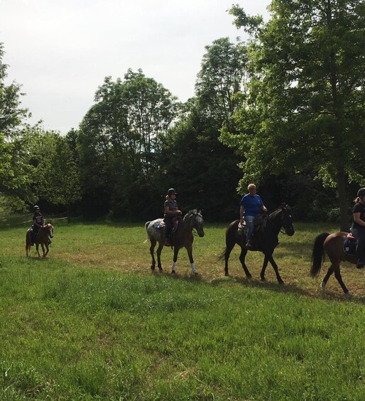 Picture 4 for Activity Turin: Horseback Ride in the Hills of Albiano d’Ivrea 2