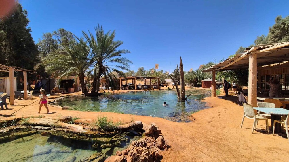 A swimming pool surrounded by palm trees and outdoor seating areas. 2
