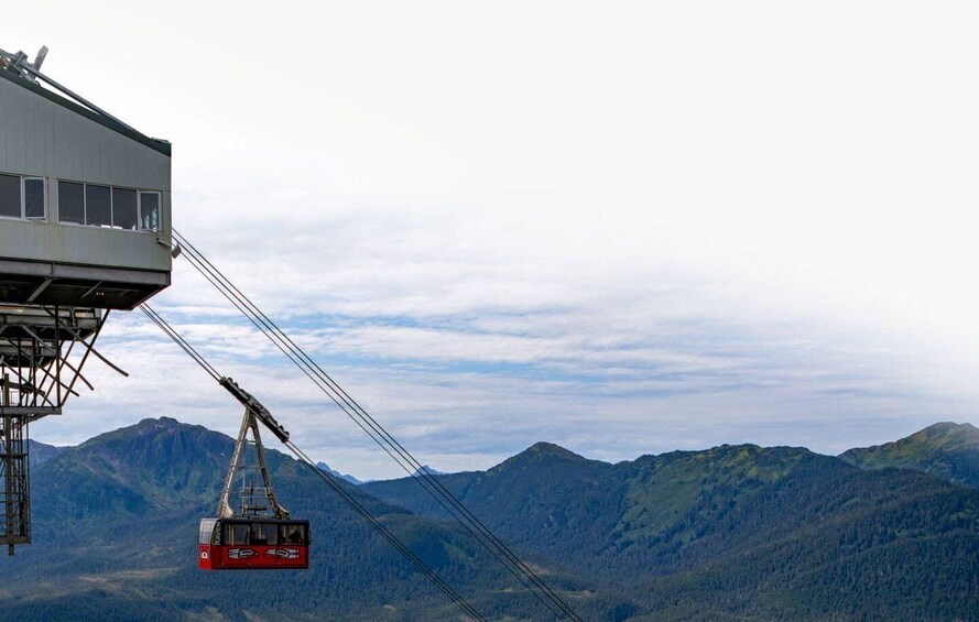 Juneau: Tram, Trails and Ale Tour 1