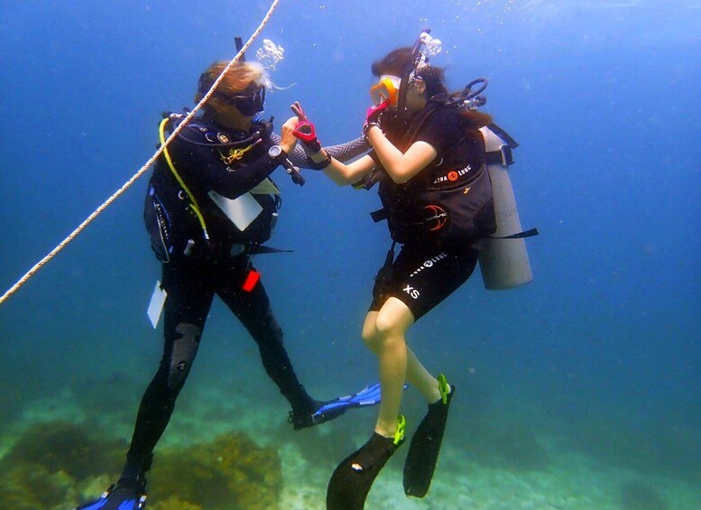 Koh Samui: PADI Open Water Diver Course- Adventure Begins 1