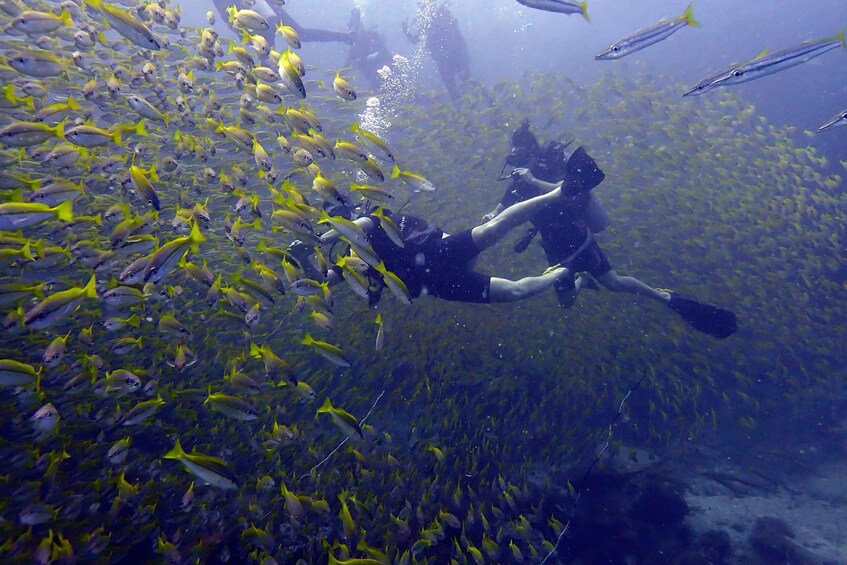 Picture 3 for Activity Koh Samui: PADI Open Water Diver Course- Adventure Begins 5