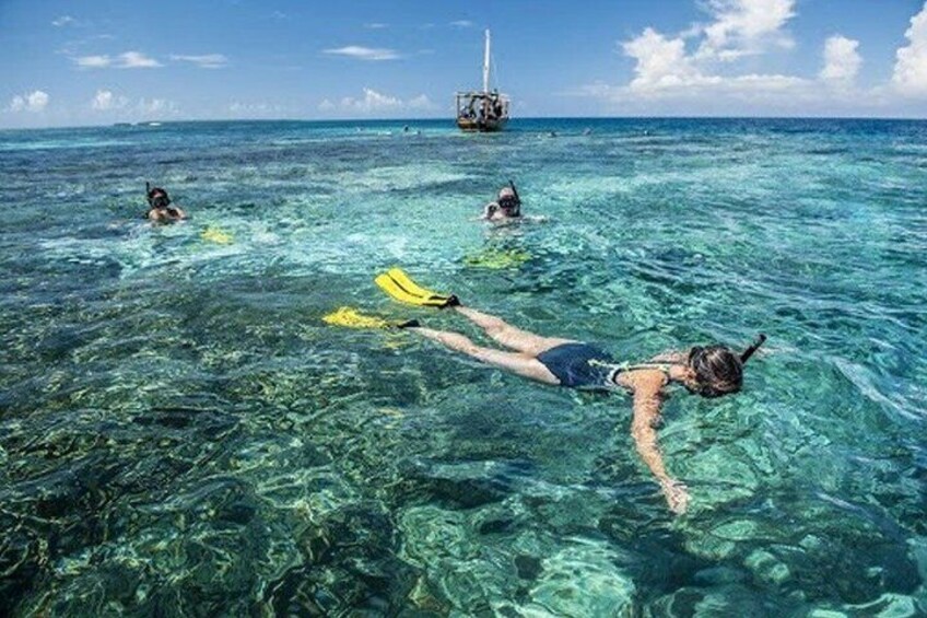 Zanzibar Blue Lagoon Snorkeling Star Fish Sandbank and Magrove 2