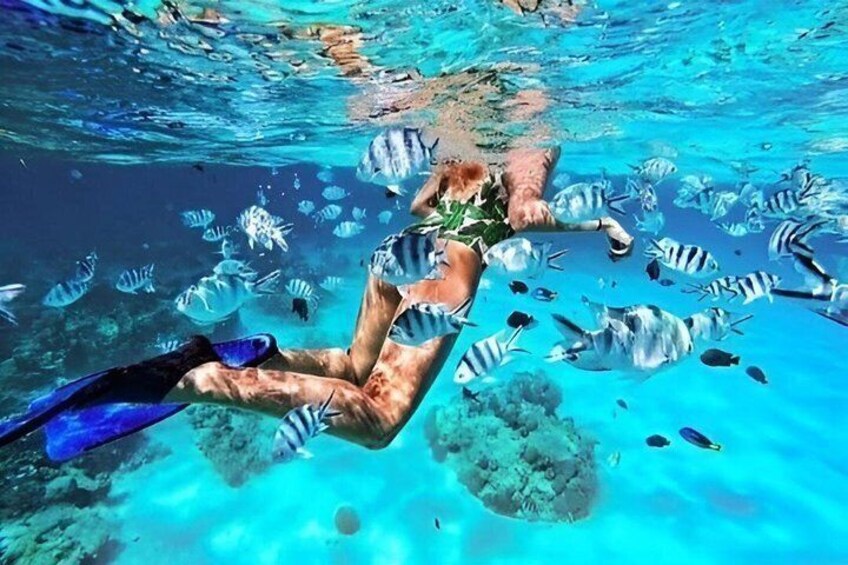 Zanzibar Blue Lagoon Snorkeling Star Fish Sandbank and Magrove 5