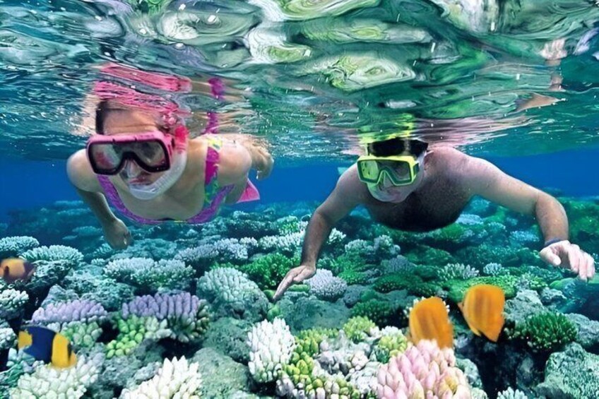 Zanzibar Blue Lagoon Snorkeling Star Fish Sandbank and Magrove 4