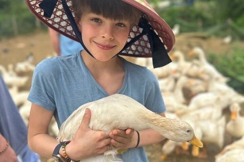 A person holding a duck, wearing a hat, with a flock of ducks in the background. 4
