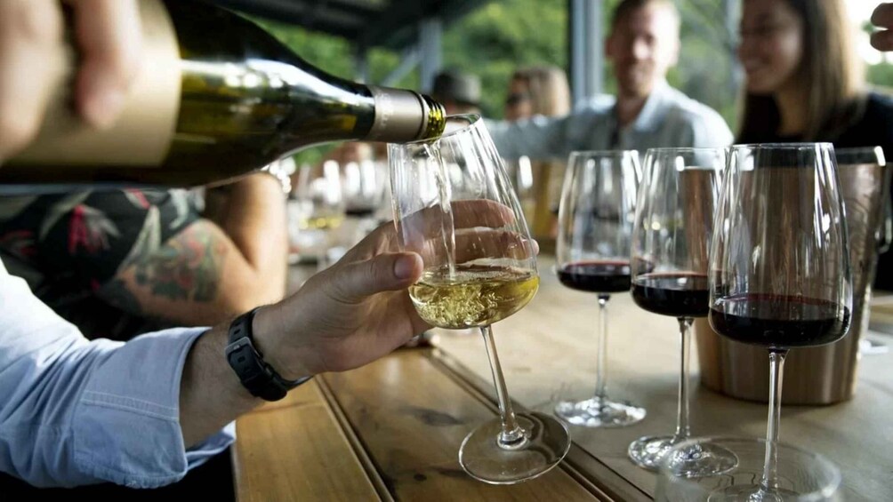 Picture 1 for Activity Veliko Tarnovo: Off-Road Jeep Adventure & 7-Wine Tasting 3
