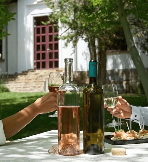 Picture 2 for Activity Veliko Tarnovo: Off-Road Jeep Adventure & 7-Wine Tasting 5