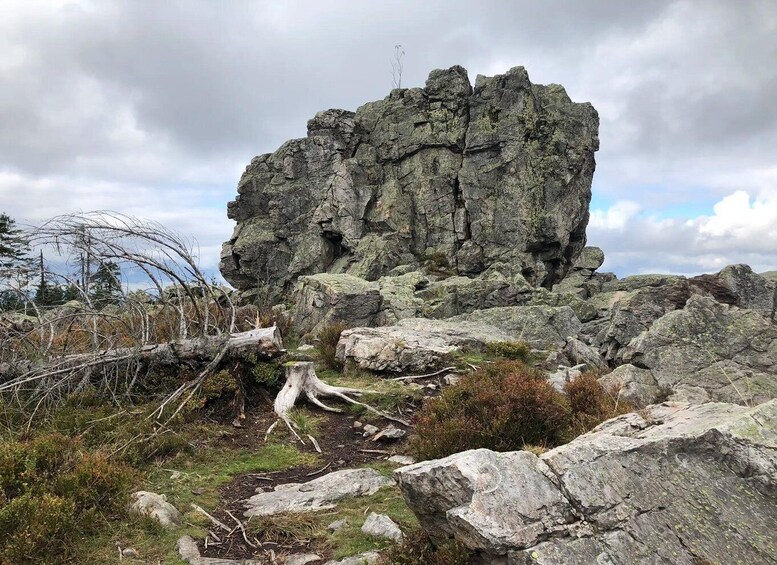 5-hour hike to Hanskühnenburg and a raised bog in the Harz Mountains 1