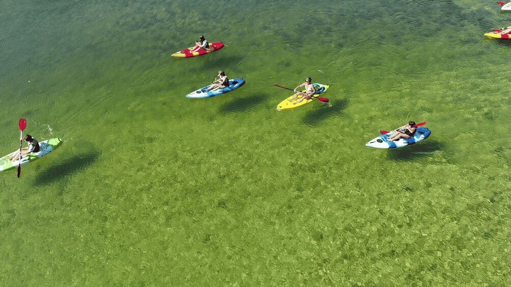 Picture 5 for Activity Bad Goisern: Kayaking adventure on the Traun in the Salzkammergut 3