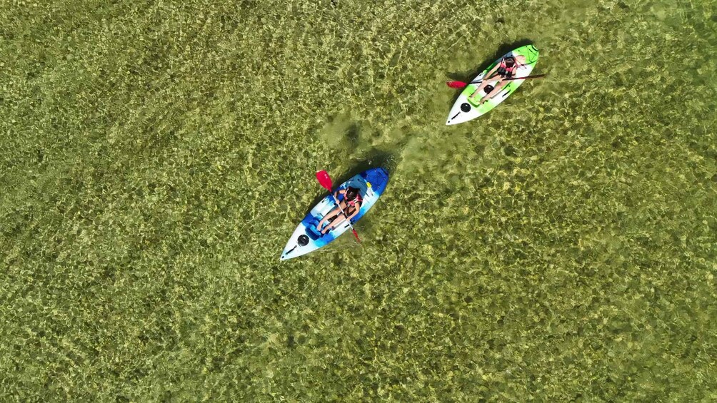 Picture 2 for Activity Bad Goisern: Kayaking adventure on the Traun in the Salzkammergut 2