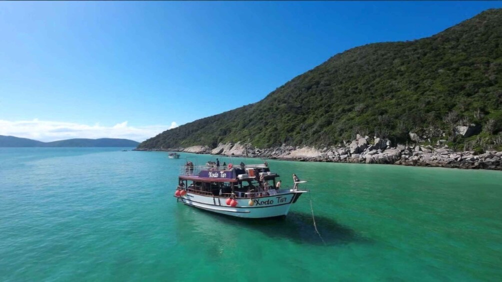 Picture 1 for Activity Arraial do Cabo Boat Ride 3