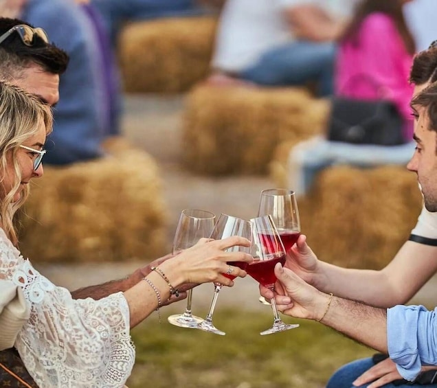 Cella Monte: Customizable Wine Tasting Experience 1