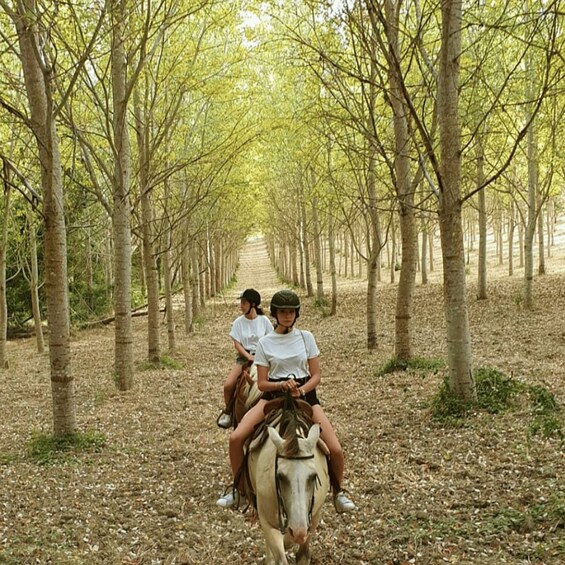Picture 2 for Activity Tuscany: horseback tours in the Tuscan countryside 3