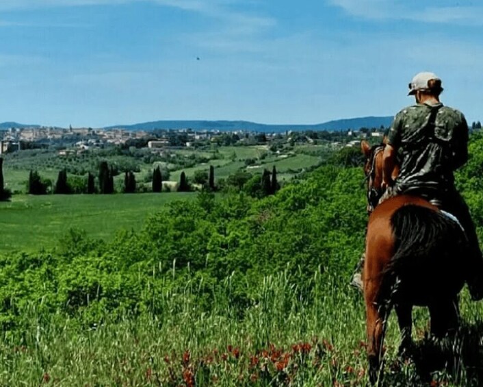 Picture 6 for Activity Tuscany: horseback tours in the Tuscan countryside 4