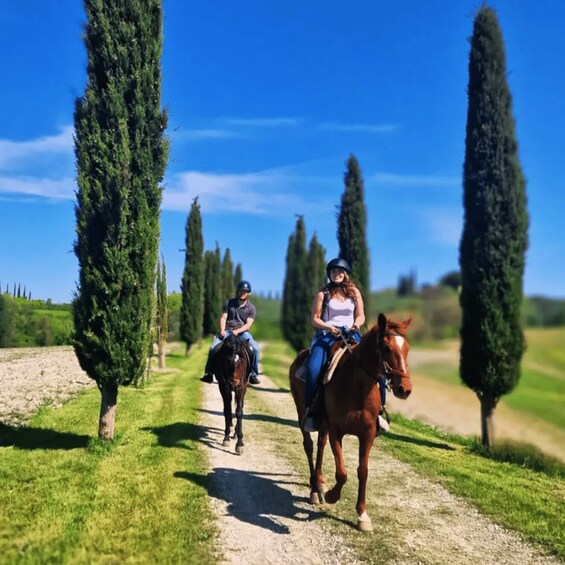 Picture 3 for Activity Tuscany: horseback tours in the Tuscan countryside 5