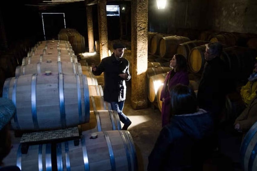 Picture 4 for Activity Montevideo: Bodegas Carrau Winery Tour with Tastings 1