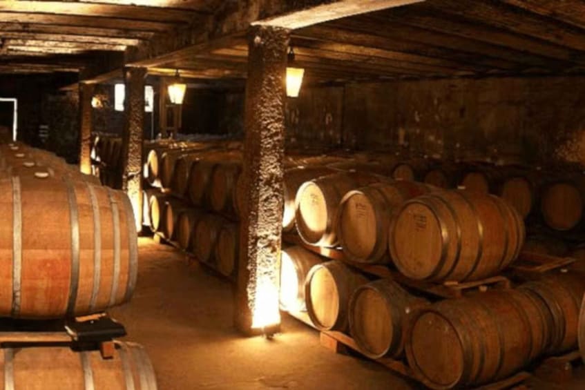Picture 2 for Activity Montevideo: Bodegas Carrau Winery Tour with Tastings 5