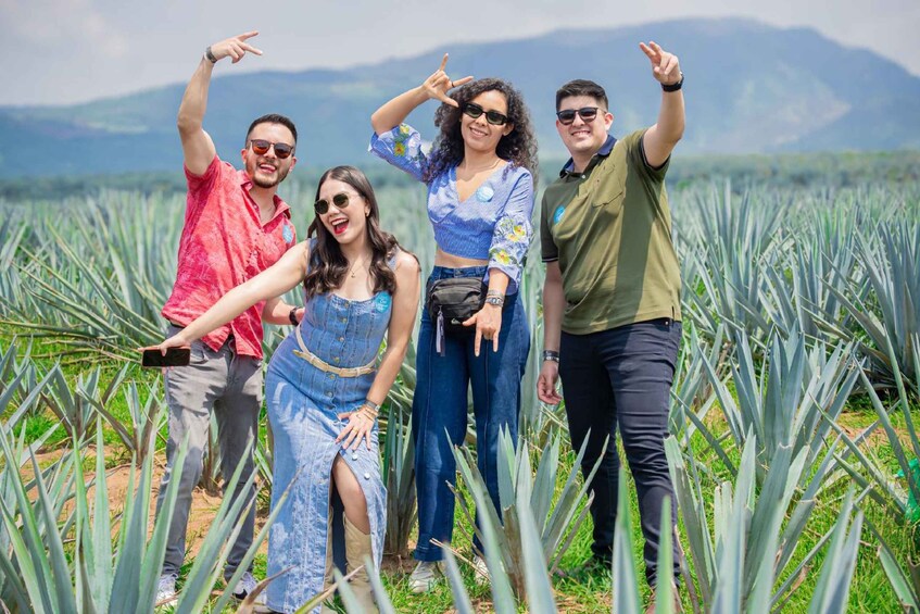 Picture 3 for Activity Tequila from Guadalajara: Distilleries, Tasting & Shots 1