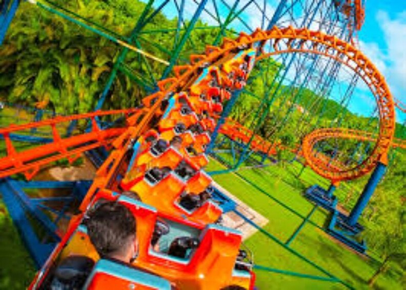 A roller coaster in motion, surrounded by greenery and a clear sky. 4